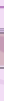 image on opening page