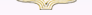 image on opening page