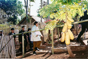 Her Royal Highness visits Karen villages in Tak and Omkoi, Chiangmai provinces to see problems for herself